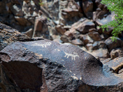 Sloan Canyon National Conservation Area