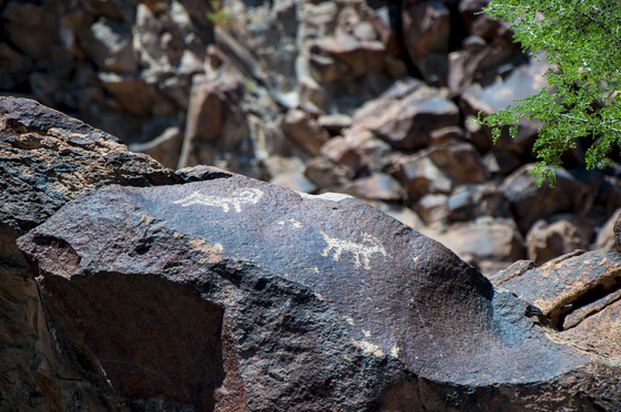 Sloan Canyon National Conservation Area