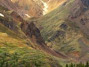 Denali National Park