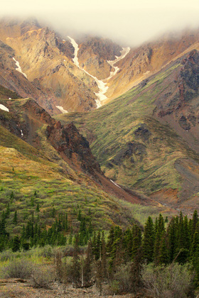 Denali National Park