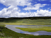 Yellowstone National Park