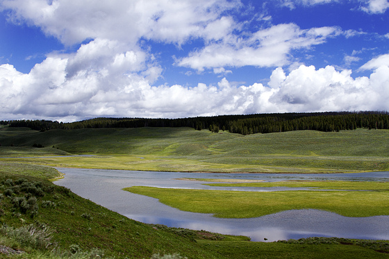 Yellowstone National Park