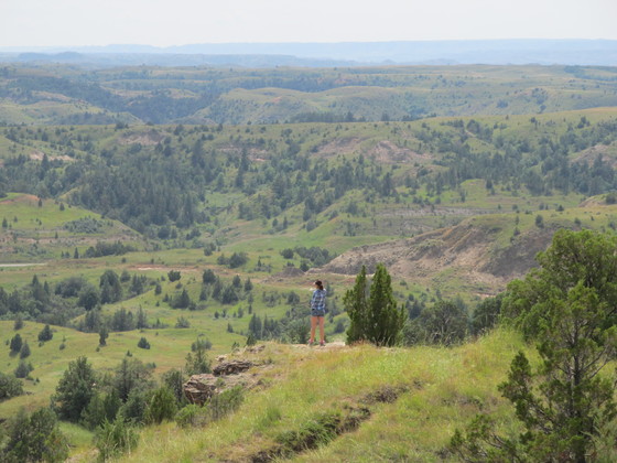 Theodore Roosevelt National Park