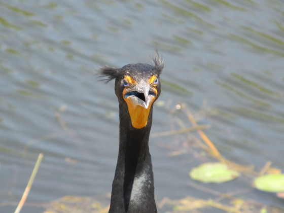 Everglades National Park