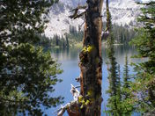 Sawtooth National Recreation Area