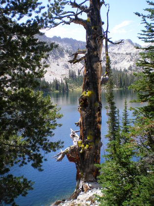 Sawtooth National Recreation Area