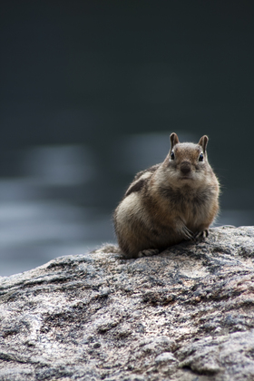 Rocky Mountain National Park