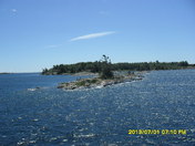 Windswept Pines off the Georgian bay