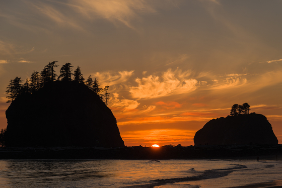 Olympic National Park
