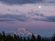 Mt. Rainier National Park
