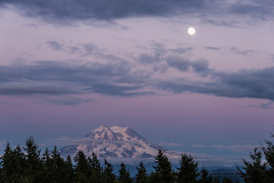 Mt. Rainier National Park