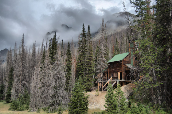 Shoshone National Forest