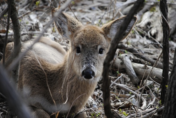 John Heinz Wildlife refuge