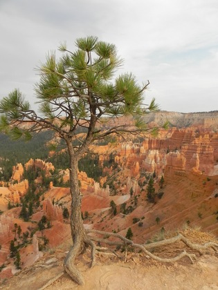 Bryce Canyon National Park