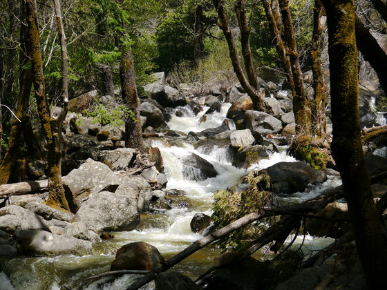 Yosemite National Park