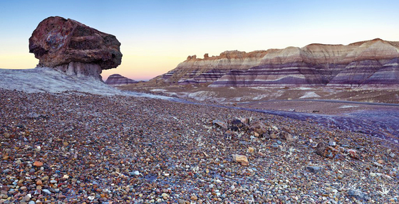 Petrified Forest National Park