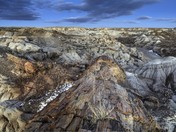 Petrified Forest National Park