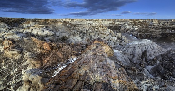 Petrified Forest National Park