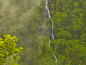 Tongass National Forest
