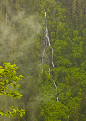 Tongass National Forest