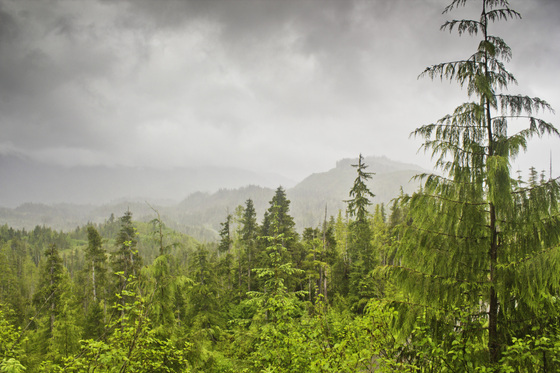 Tongass National Forest