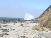 Siuslaw National Forest