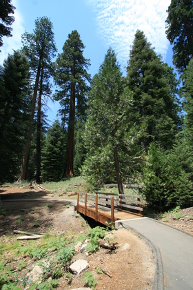Giant Sequoia National Monument