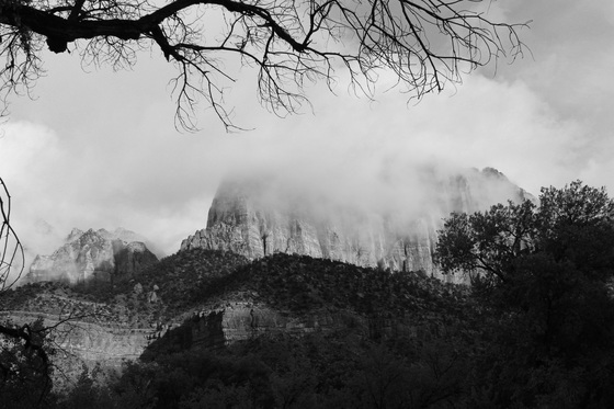 Zion National Park