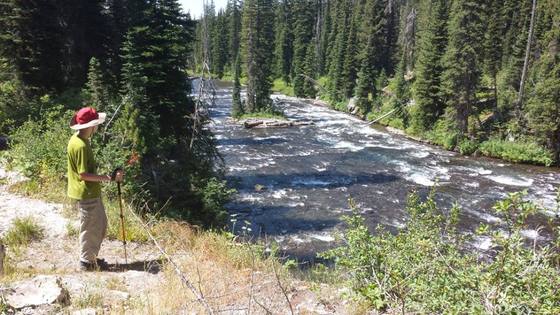 Yellowstone National Park