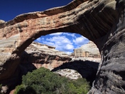 Natural Bridges National Monument 
