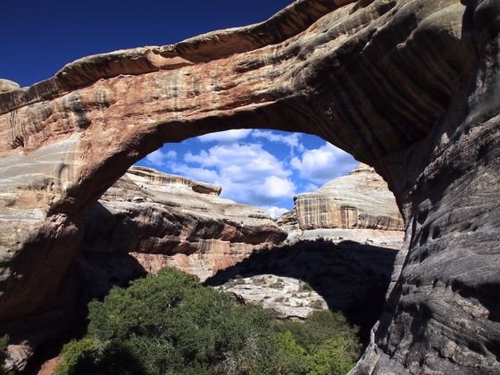 Natural Bridges National Monument 