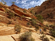 Zion National Park