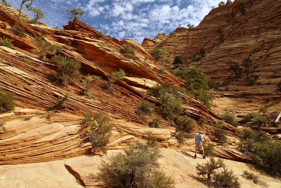 Zion National Park