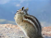 Rocky Mountain National Park