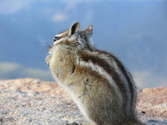 Rocky Mountain National Park