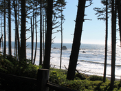 Olympic National Park