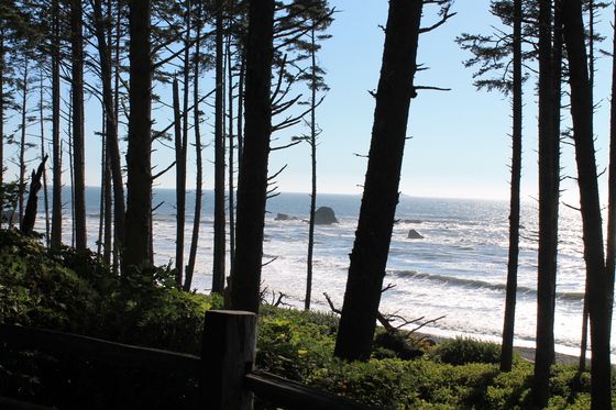 Olympic National Park