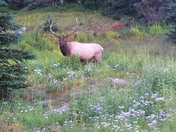 Rocky Mountain National Park