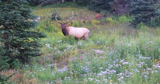 Rocky Mountain National Park