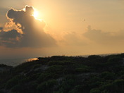 Padre Island National Seashore