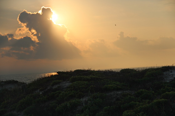 Padre Island National Seashore