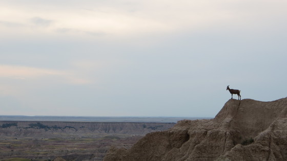 Badlands National Park