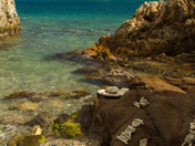 Virgin Islands National Park
