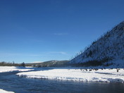 Yellowstone 