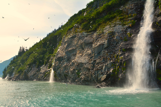 Chugach National Forest, Prince William Sound, Alaska