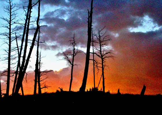 Yellowstone National Park