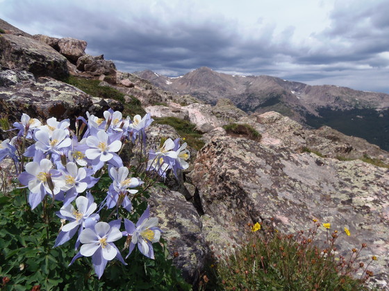 White River National Forest