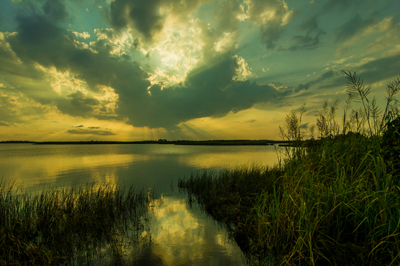 Back Bay Wildlife Refuge