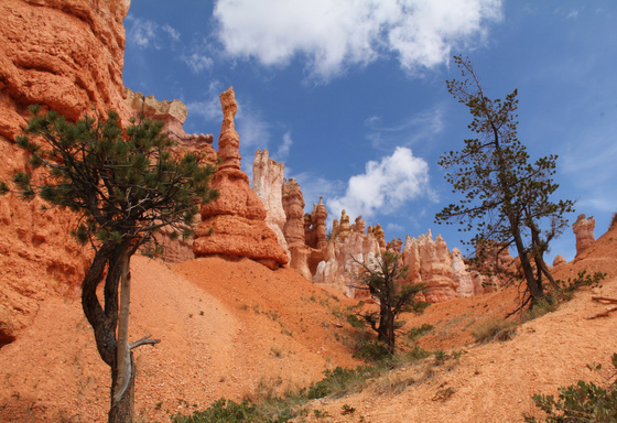 Bryce Canyon