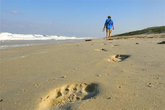 Canaveral National Seashore